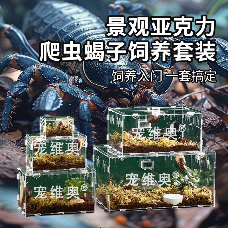 雨林蝎桌面景观饲养盒