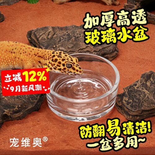 宠维奥无菌迷你玻璃水杯食盆