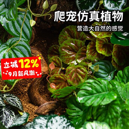 爬宠造景仿真植物爬虫饲养箱装饰