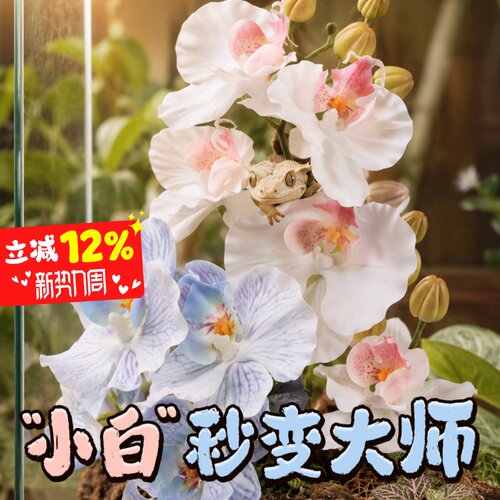 宠维奥爬宠仿真花朵植物装饰