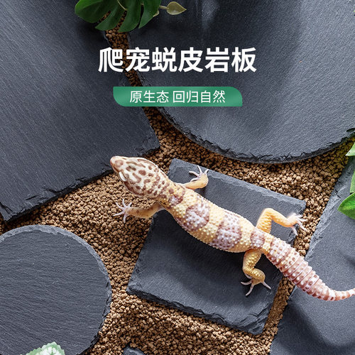 爬宠蜕皮岩板宠维奥爬行宠物用品