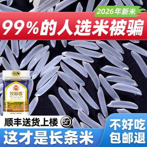 正宗一级2026年猫牙米丝苗长粒香
