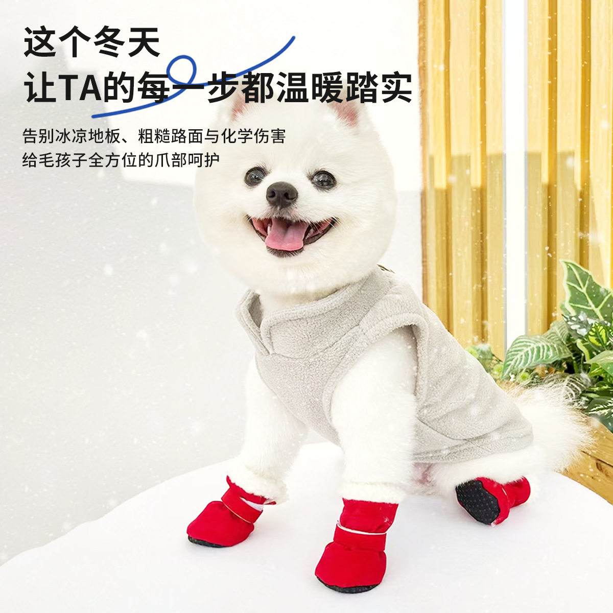 软底加绒宠物鞋子泰迪博