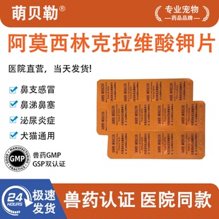 阿莫西林克拉维酸钾猫咪宠物感冒药进口同款 猫鼻支泌尿消炎药