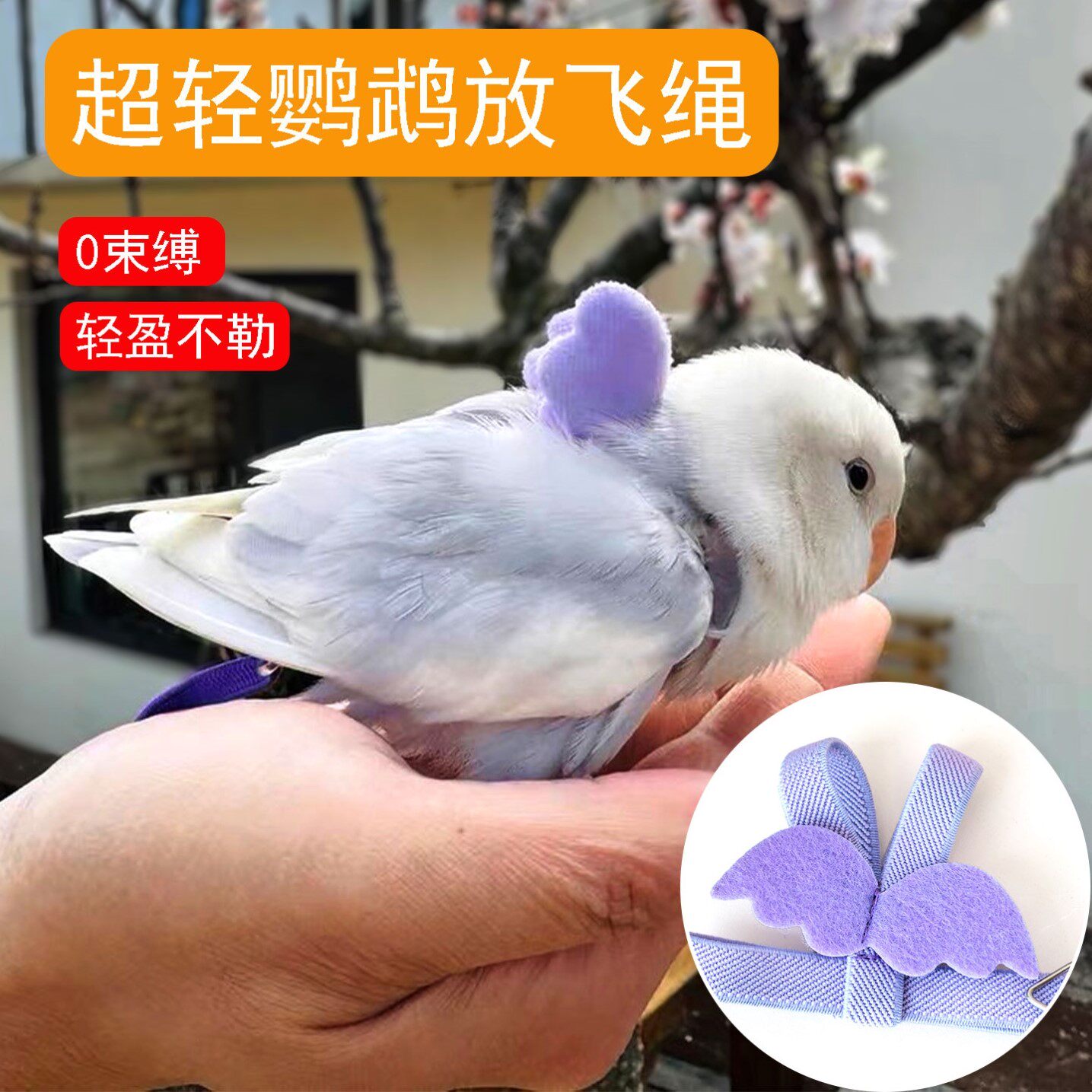 放飞绳玄凤虎皮牡丹鸟用鹦鹉牵引绳飞行外出背带遛鸟神器用品玩具