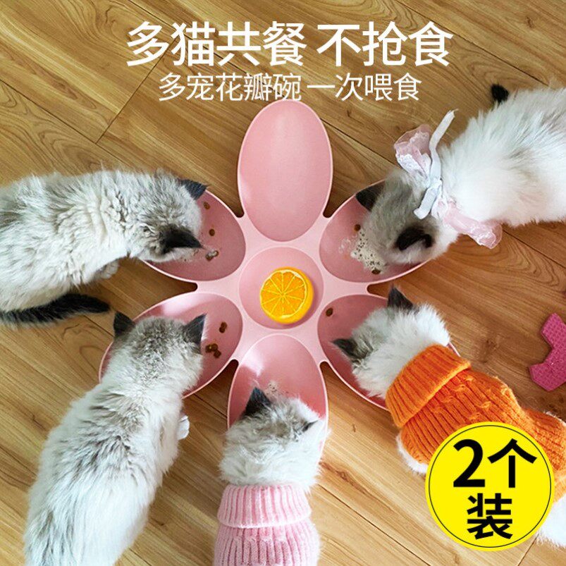 猫碗多猫花瓣食盆幼猫奶猫专用碗幼犬狗碗小猫流浪猫喂食猫咪用品