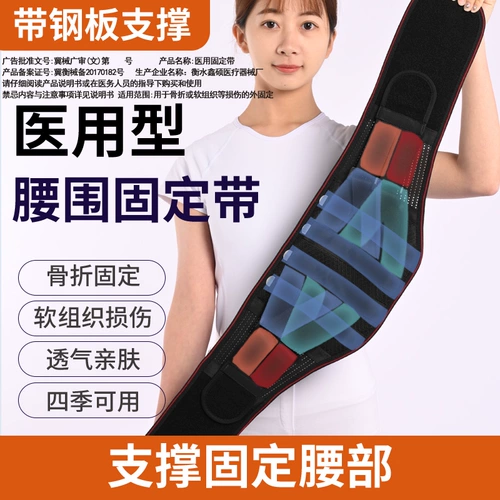 Исправьте поясной группы, выступая за тренировки на талии, не -тетерапия, нерапия поясничной боли в талии, поясничные мышцы и женщины.