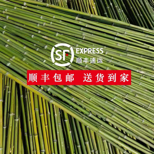 竹竿菜园搭架蔬菜黄瓜番茄豆角架