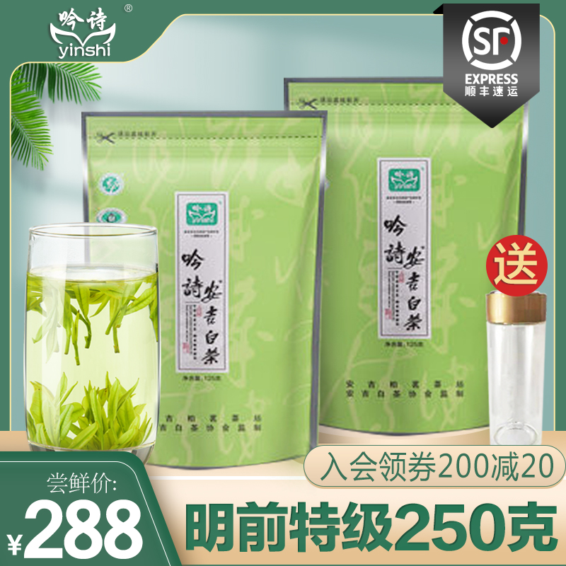 现货安吉白茶2022新茶明前特级原产地核心产区250g高氨基酸绿茶叶