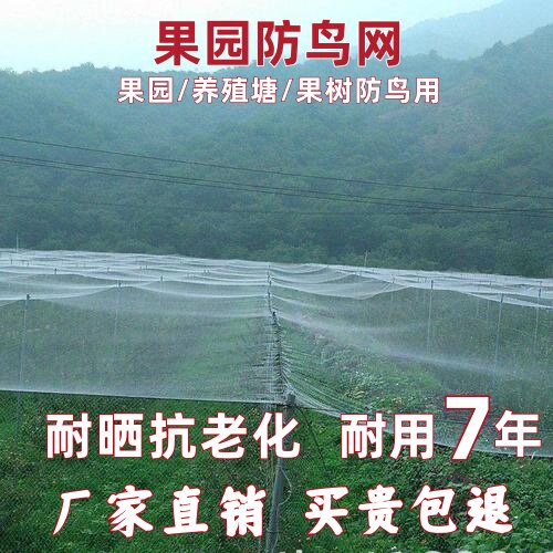 果园养殖鱼塘用防鸟网耐用抗老化