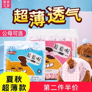 宠物纸尿裤泰迪超小狗卫生巾狗狗生理期安全裤尿不湿狗狗纸尿裤