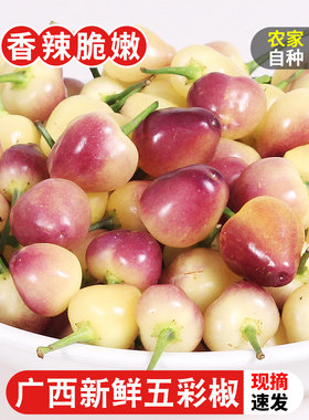 现摘广西七彩椒新鲜辣椒9斤蔬菜
