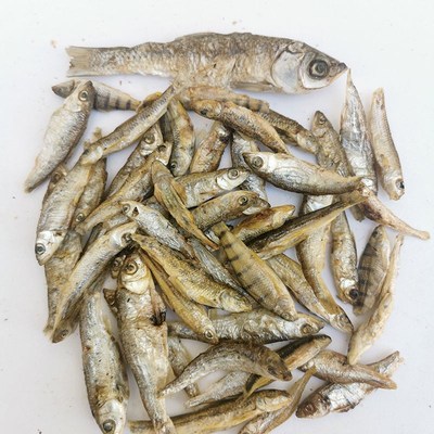 江西特产上犹鱼干小鱼仔干炭火无