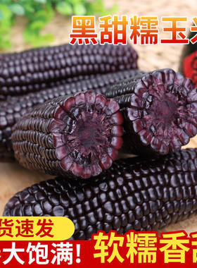江西上犹特产现摘新鲜黑