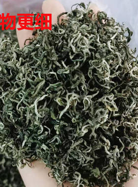 2024年新茶春茶五指峰上犹绿茶毛