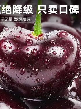 3斤现货桑提娜智利进口车厘子特大4j5新鲜孕妇樱桃水果桑缇娜樱桃