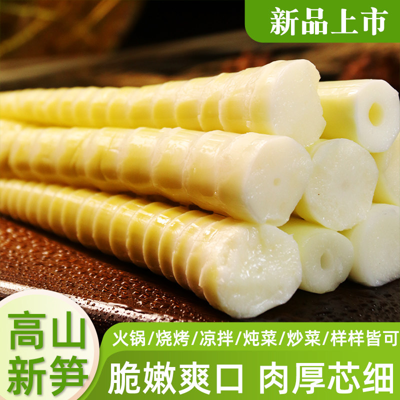 高山罗汉笋尖竹笋新鲜嫩笋片串串麻辣烫火锅食材翠绿野生四川特产