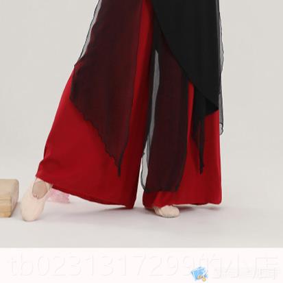 新款古典舞蹈服女飘逸练功旗长款上衣中国风民族现服代舞演出蹈套