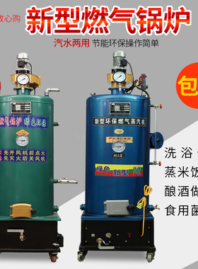 燃气液化气节能环保蒸汽锅炉家用酿酒食用菌做豆腐豆汁馒头黄花菜