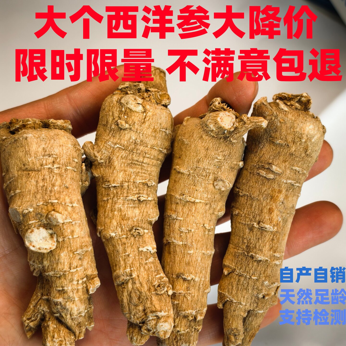 正宗文登西洋参粒头正品宗花旗参整枝段根免费切片打粉250g500克