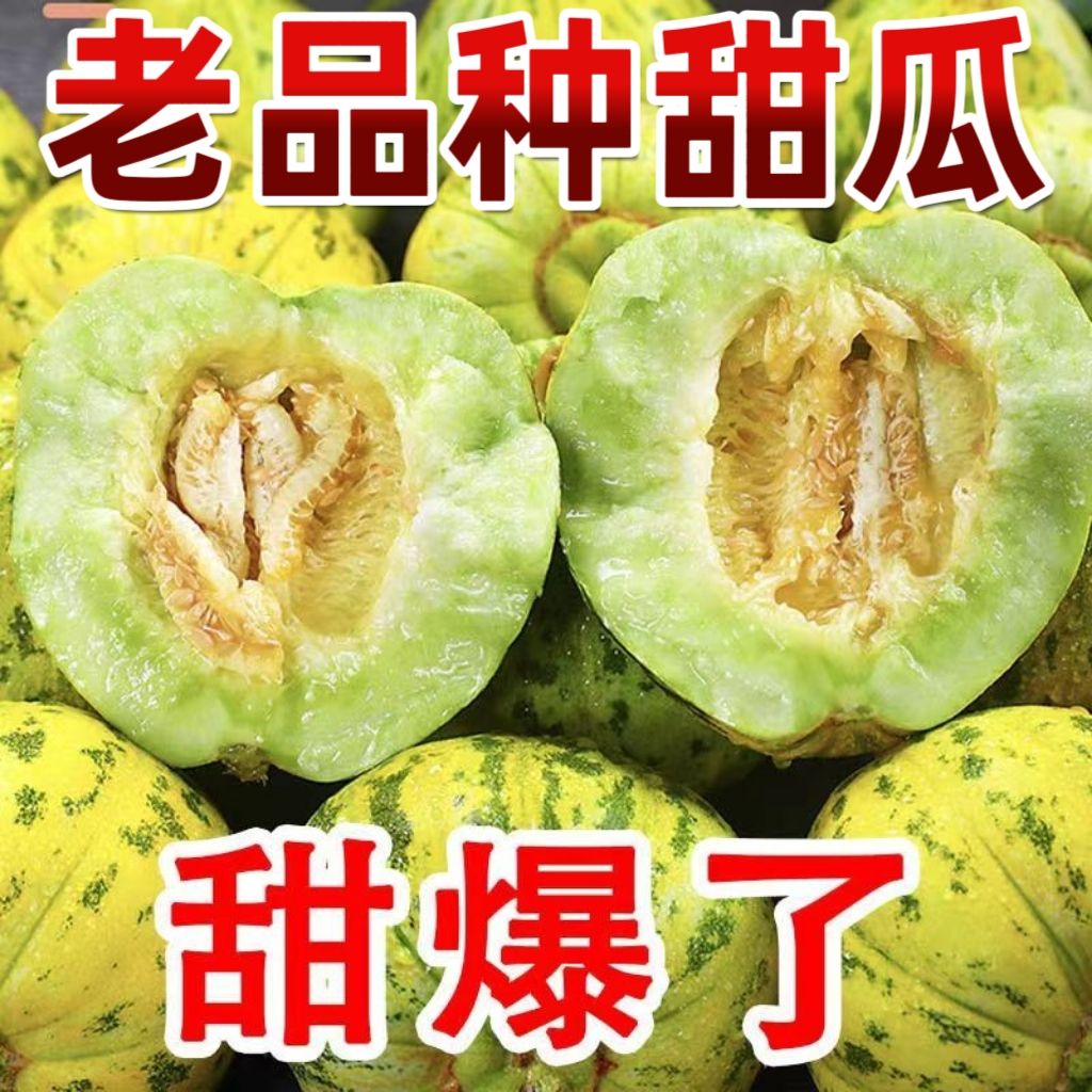 正宗八里香头茬甜瓜新鲜花瓜水果甜瓜