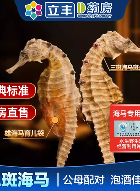 三斑海马中药材泡酒煲汤中药饮片一公一母海马干货官方旗舰店正品