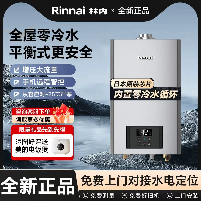 林内R16U53G-CH平衡式燃气热水器