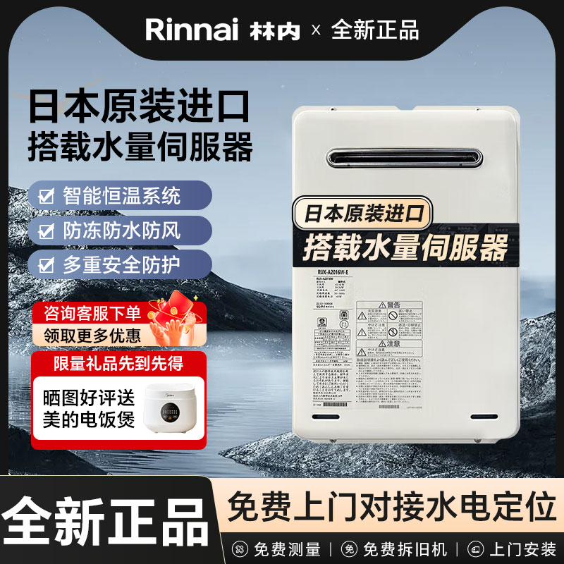 Rinnai/林内进口室外热水器16升