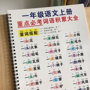 新款一年级语文上下册词语积累大全训练量词训练大全练习本