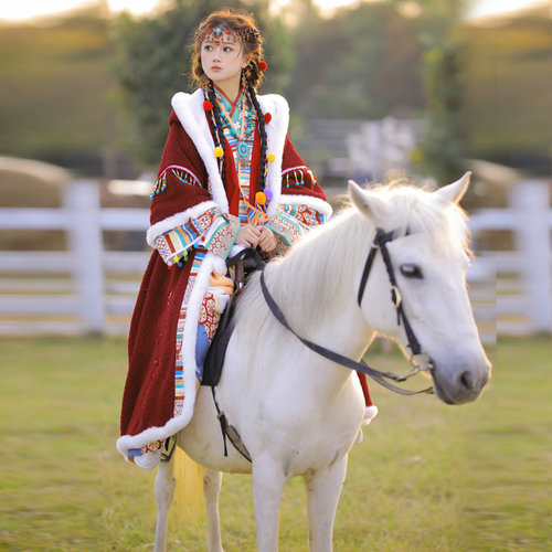 汉元素重工刺绣改良唐褙子冬