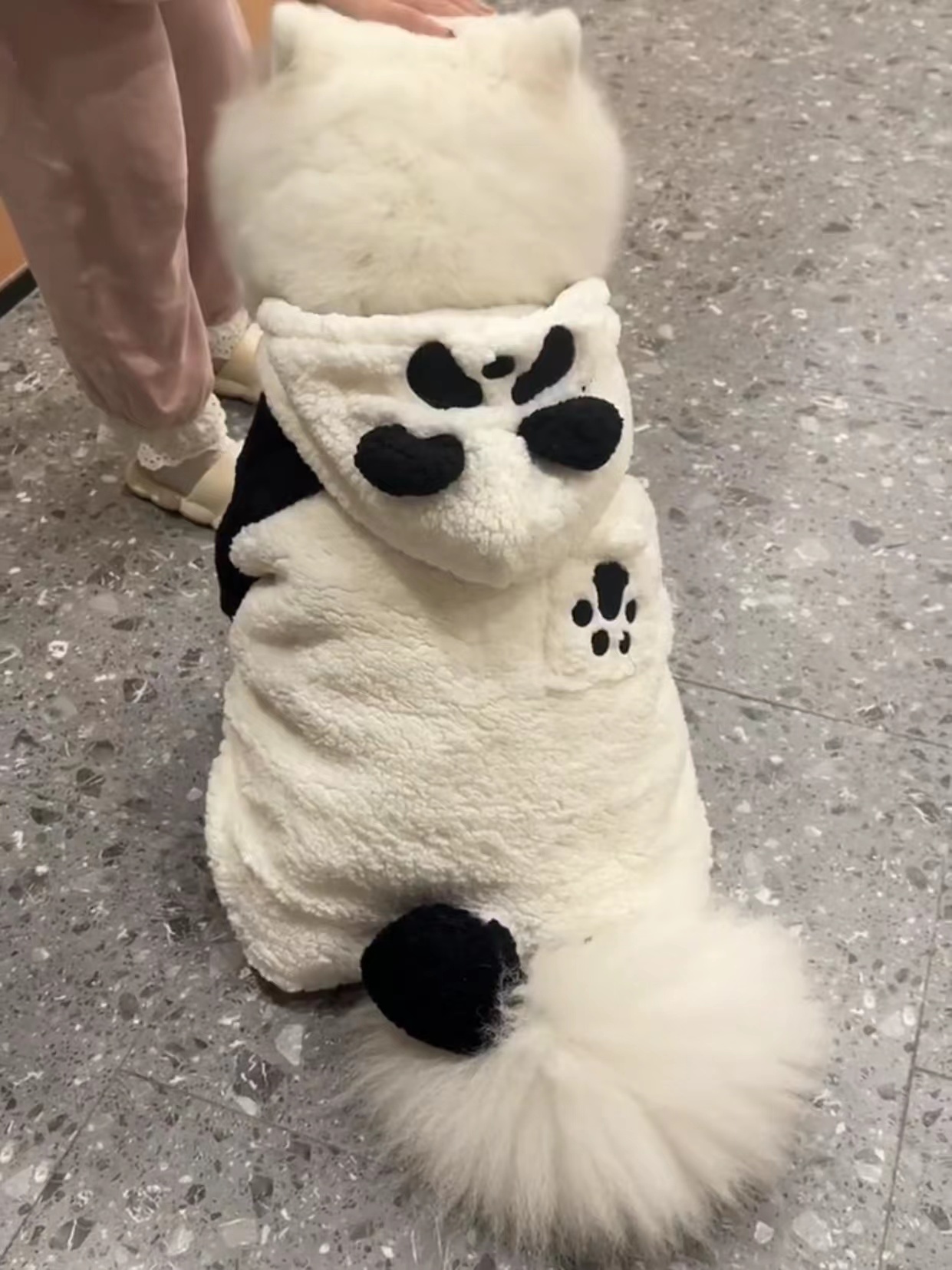 狗狗衣服金毛中大型犬拉布拉多冬季萨摩耶衣服大狗狗宠物秋冬装