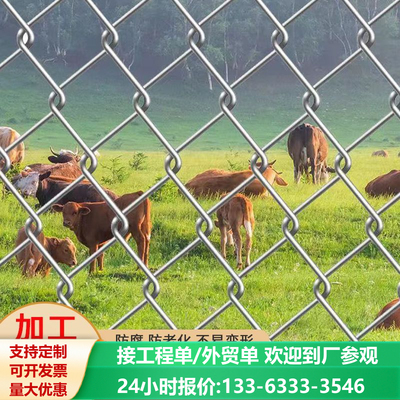 热镀锌铁丝网养鸡牛羊加粗围栏