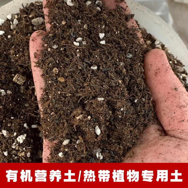 热植专用有机营养土进口品式泥炭土配制绿植通用土配制绿植营养土 鲜花速递/花卉仿真/绿植园艺 介质/营养土 原图主图