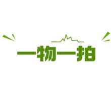 一物一拍链接  王先森的花园