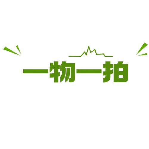 一物一拍链接  王先森的花园