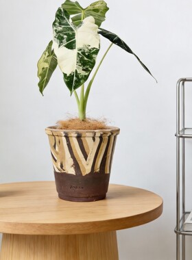 【王先森 精选陶盆】手工摩登系列陶土花盆花盆绿植透气养根热植