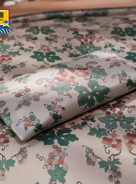 皇锦真丝印花经典形苦荞壳荞麦枕-吉祥多宝HJ11755