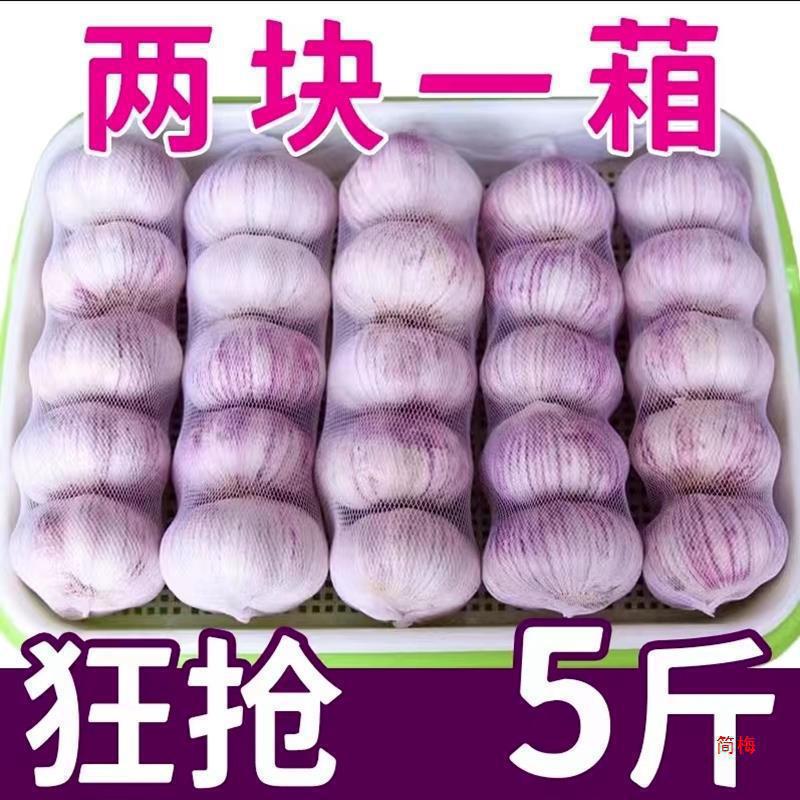 子山东十足红皮大蒜农家自种头干包邮新鲜干蒜紫皮大蒜