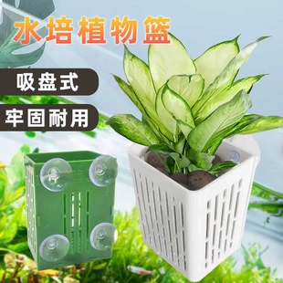 鱼缸水培篮植物固定架定植篮壁挂吸盘式 饰配件 水草杯鱼缸造景装