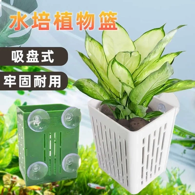 鱼缸水培植物固定架壁挂吸盘式