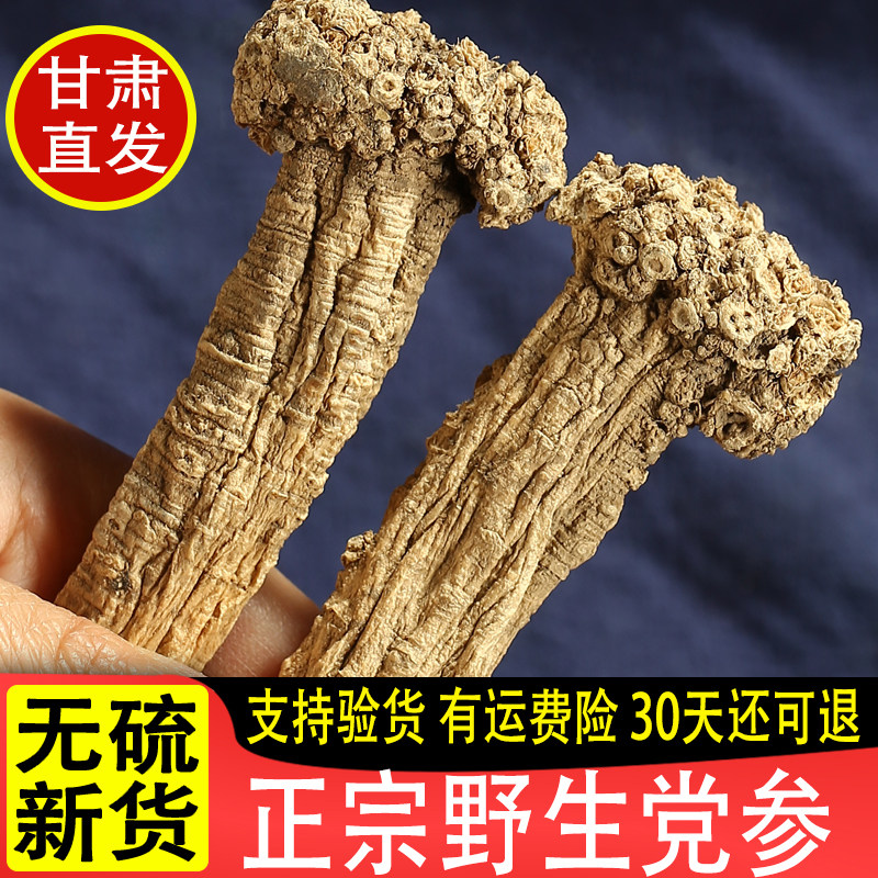 野生党参500g克干货条党叁特级组合黄芪当归煲汤甘肃中药材当党参