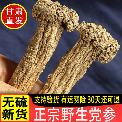 甘肃野生党参条500g无硫新货正品