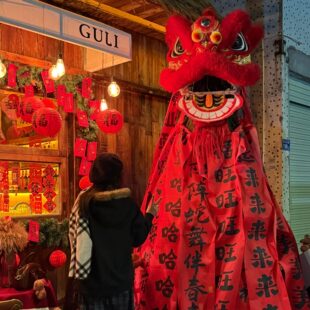 新年场景狮子头网红装饰氛围布置节日装扮用品红色舞狮灯笼挂饰