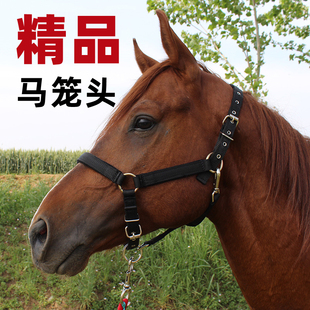 精品马笼头套防磨绳子马术用品大小矮马龙头马具配件全套马场专用