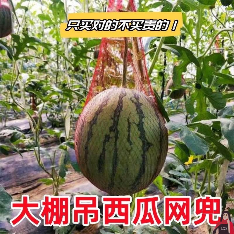 大棚吊西瓜网兜尼龙袋密