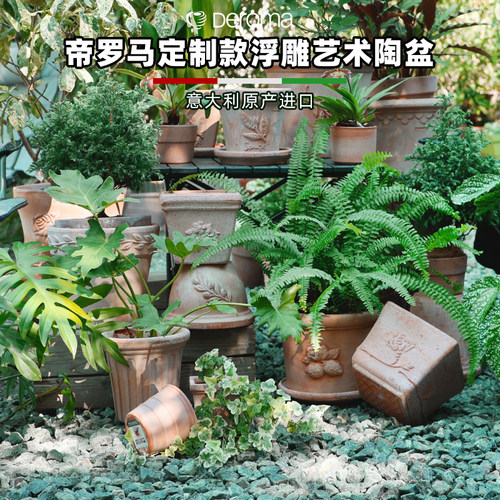 帝罗马室内多肉兰花透气陶土花盆