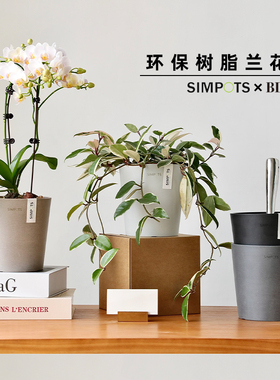 bdbf官方店SIMPOTS树脂绿植盆栽北欧风格室内外兰花专用高款花盆