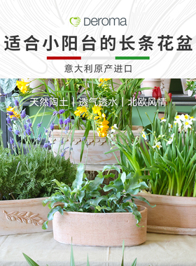 帝罗马适合小阳台党的高颜值长条陶土大口径兰花专用绿植北欧花盆