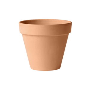 帝罗马陶盆托盘白陶百搭宽边绿植桌面家居庭院多肉蝴蝶兰红陶花盆