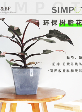 bdbf官方店SIMPOTS树脂黑胶北欧风格方形绿植盆栽多肉室内外花盆